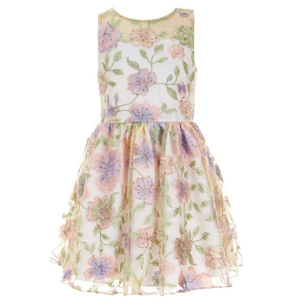 Rare Editions Sleeveless Beaded Floral Mesh Fit-And-Flare Dress